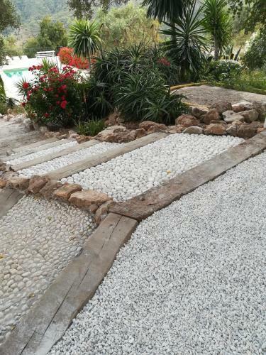 Hostal Olive Branch