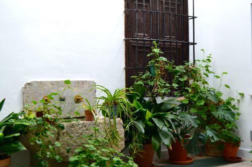 Apartamento La Casa De Almocita