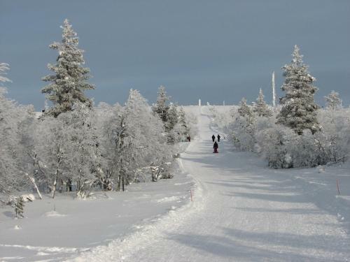 Saarisel�n Marjamajat