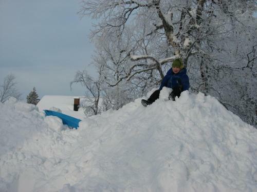Saarisel�n Marjamajat