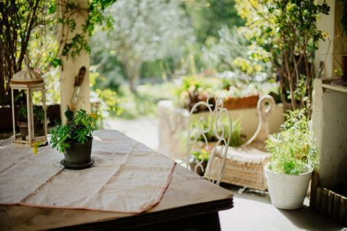Bed & Breakfast C�t�-vignes Chambre D'h�tes