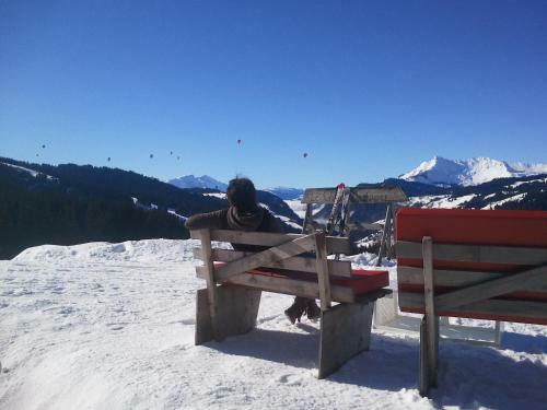 Hotel Le Lodge Chasse Montagne