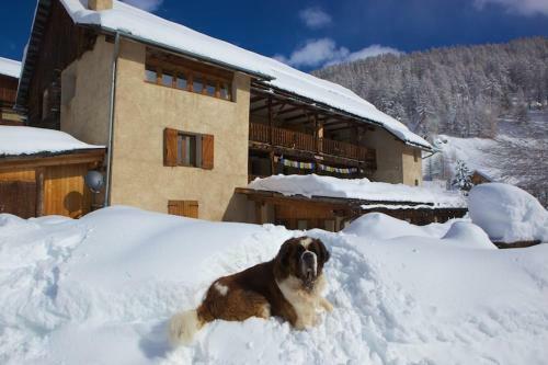 Bed & Breakfast Le Chalet Viso