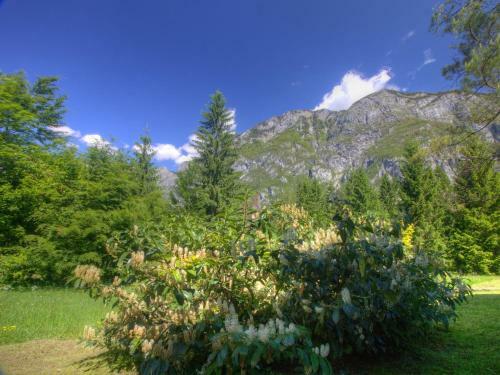 Holiday Home Apartment Zupancic 2