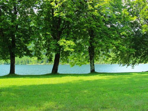 Holiday Home Apartment Zupancic 2