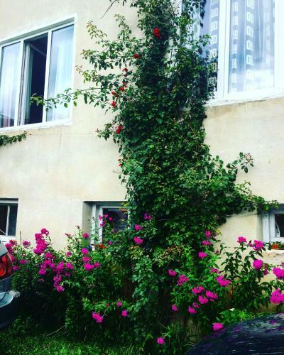 Hostal Mestia Valeris Guesthouse
