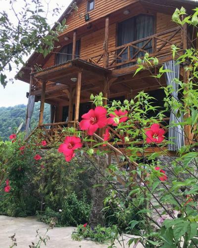 Hostal Guest House Mtirala National Park