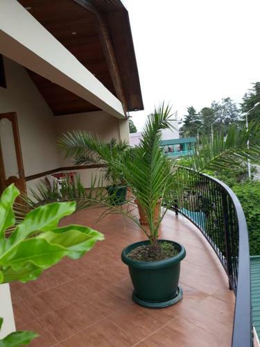 Magnolia Hotel Agmashenebeli
