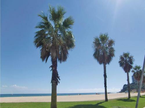 Apartment Sant Antoni De Calonge With Sea View II
