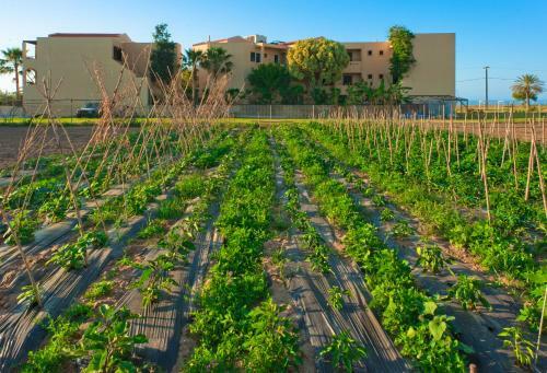 Silver Beach Hotel & Apartments - All Inclusive
