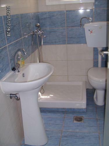 Hostal Sofia's House