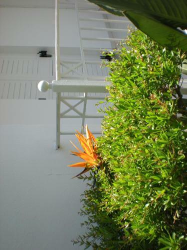 Apartamento Manolis' House