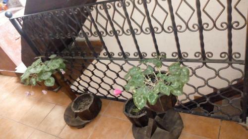 Hostal Hotel Dionisio