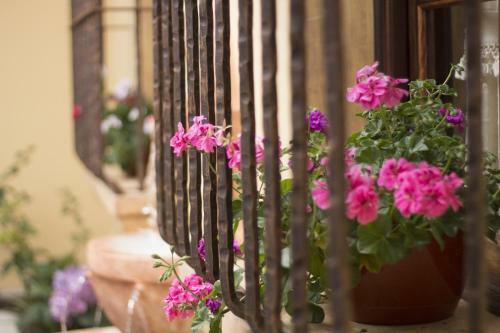 Hotel Casa Buena Vista