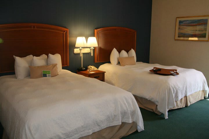 Hotel Hampton Inn Chihuahua