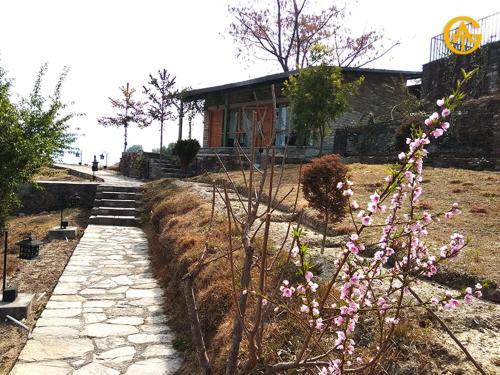 Villa V Resorts Queens Meadows Ranikhet