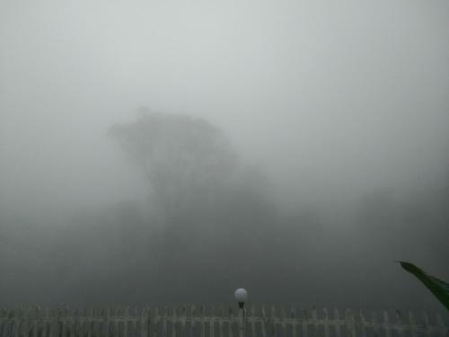 Agroturismo Tabernacle Plantation Thekkady