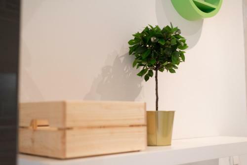 Standard Apartment By Hi5 - West End Center
