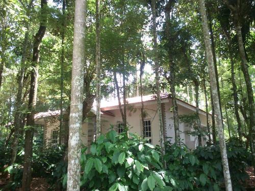 Hotel Wayanad Coffee Mist Resort