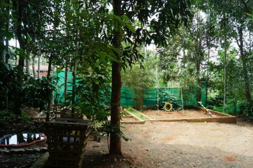 Hotel Wayanad Coffee Mist Resort