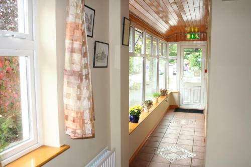 Hostal San Antonio Guesthouse