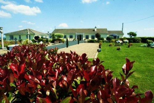 Bunratty Castle Mews B&B