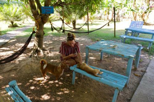 Fat Monkey Hostel