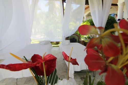 Bed & Breakfast The Wilsons' Shangri-la