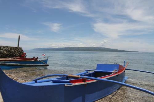 Bed & Breakfast The Wilsons' Shangri-la