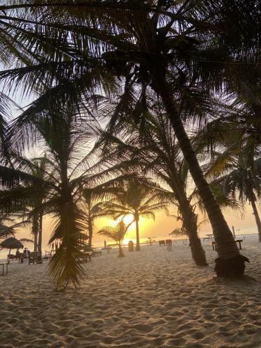 Hotel Jungle Beach Resort