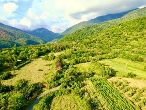 Agroturismo Green House