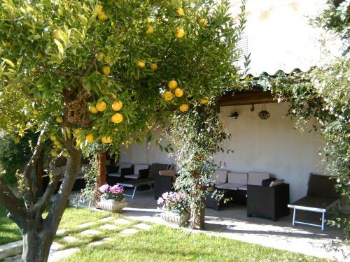 Bed & Breakfast La Casa Del Gelsomino