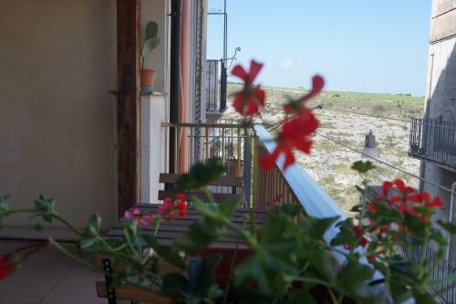 Apartamento Il Fico D'india