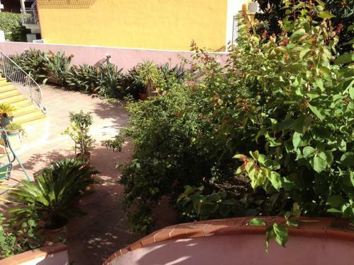 Bed&breakfast Ciro's House