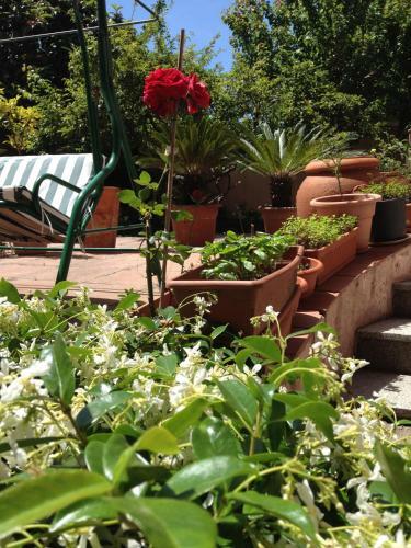 Bed&breakfast Ciro's House