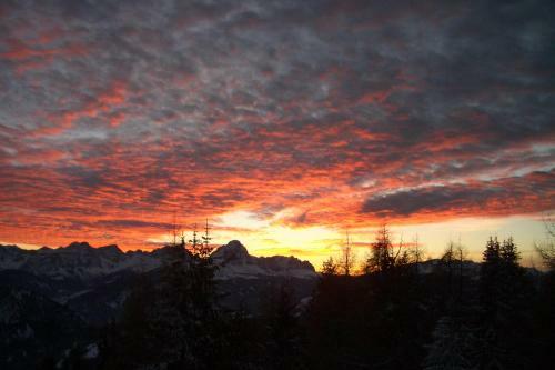 Alpine Hotel Gran Foda'