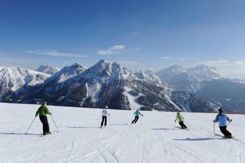 Alpine Hotel Gran Foda'