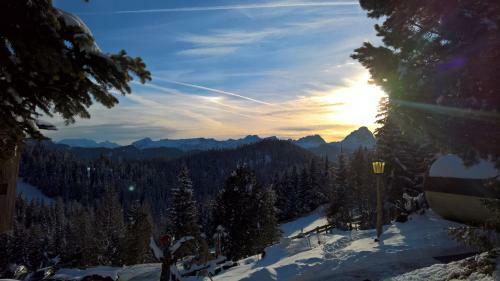Alpine Hotel Gran Foda'
