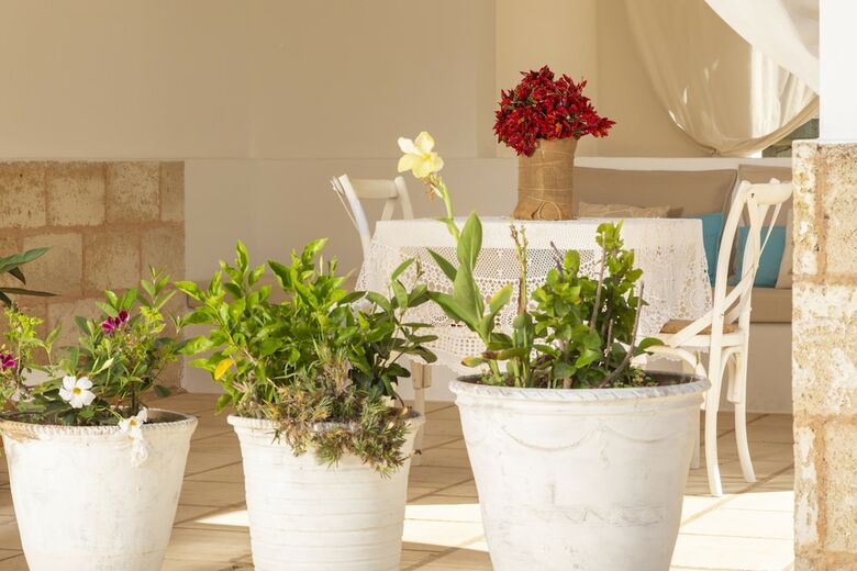 Agroturismo Podere40 Country Hotel