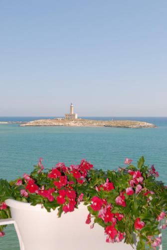Bed & Breakfast Casa Giulia