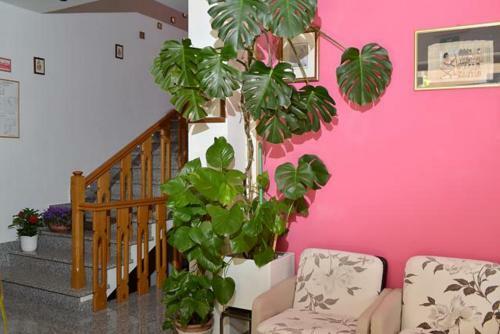 Hotel Pensione Andrea