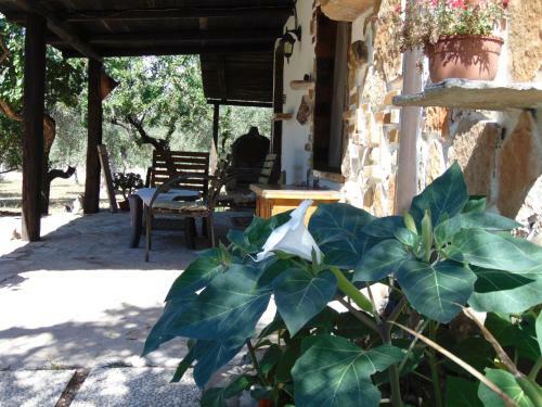 Casa Vacanze Ulivetum