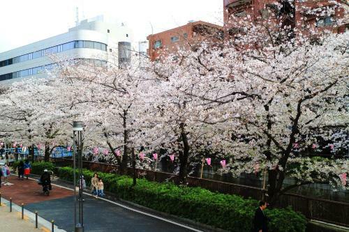 Apartamentos Yui Shibuya