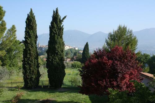 Agroturismo Le Storie Di Bambu