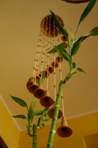 Agroturismo Le Storie Di Bambu