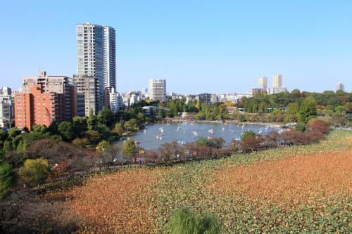 Centurion Ladies Hostel Ueno Park (female Only)