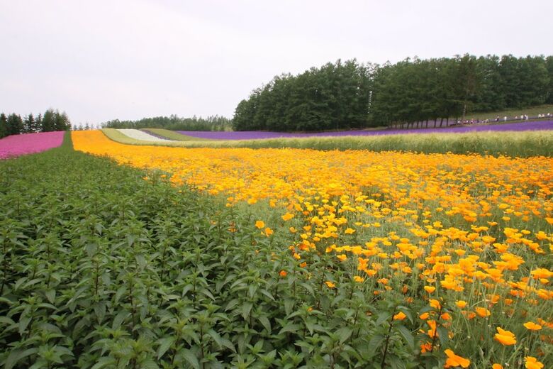 Furano Shiyuirin