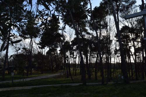 Villaggio Camping Bosco Selva