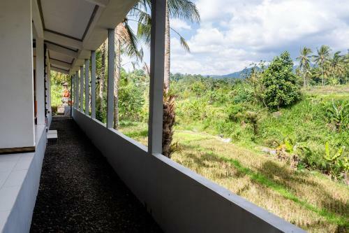 Hostal Lotus Guesthouse