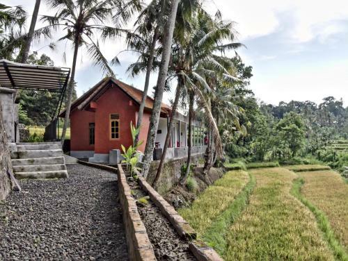 Hostal Lotus Guesthouse